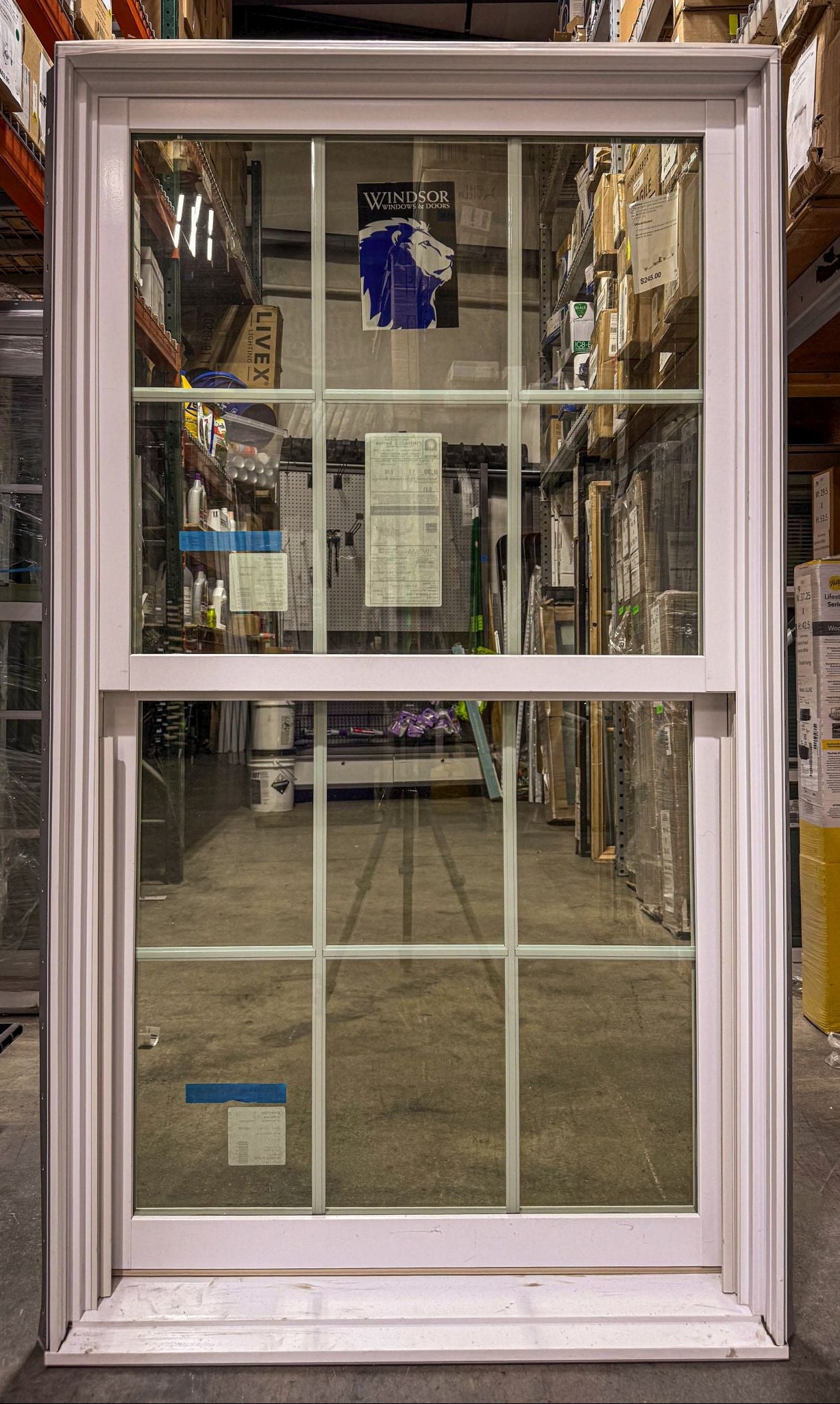 Windsor Pinnacle Double Hung Window 35.5 x 63.5 - Clark Listings